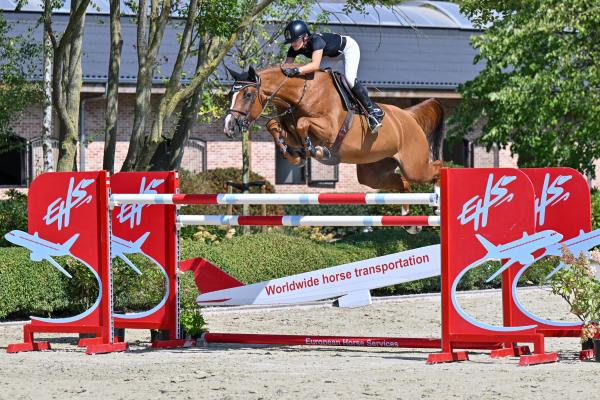 Next Day VDL