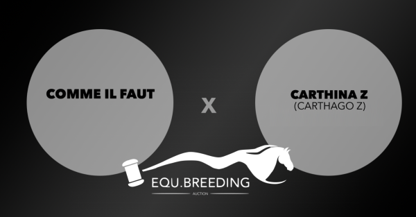 Embryo (Comme Il Faut x Carthina z)