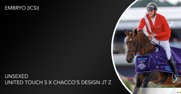 Embryo (United Touch S x Chacco's design jt z)