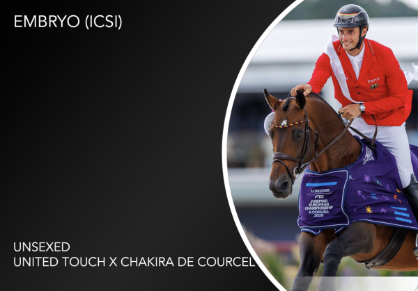 Embryo (United Touch S x Chakira de courcel)