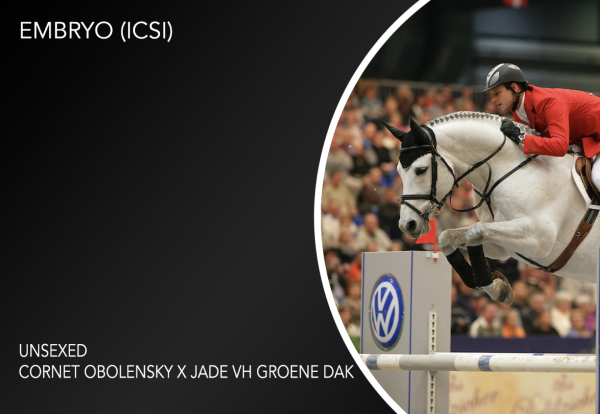 Embryo (Cornet Obolensky x Jade van het Groene Dak)