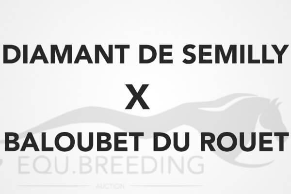 Diamant De Semilly x Baloubet du Rouet