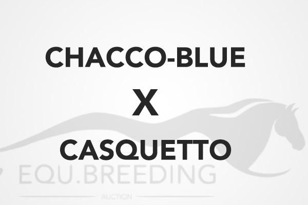 Chacco Blue x Casquetto