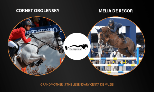 Cornet Obolensky x Melia de Regor