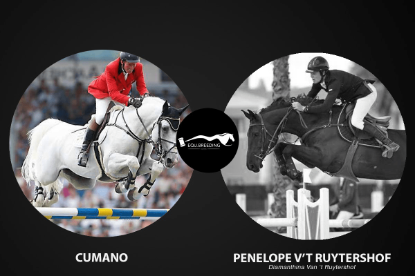 [FILLY] Cumano x Penelope van 't Ruytershof [ICSI]