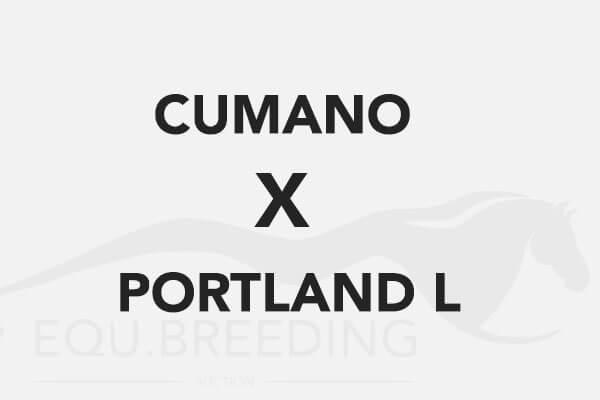 Cumano x Portland