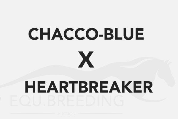 Chacco-Blue x Heartbreaker