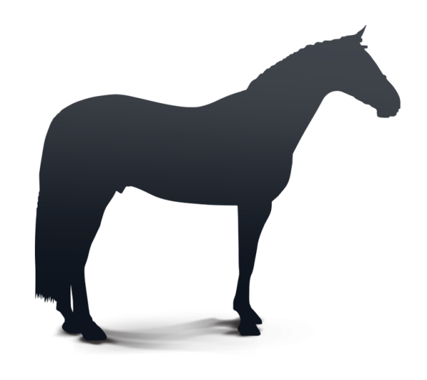 Group of 5 Surrogate mares