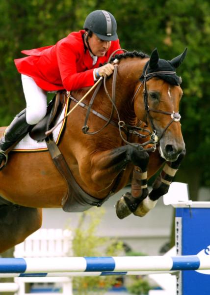 KASHMIR VAN SCHUTTERSHOF x Heartbreaker x Libero H