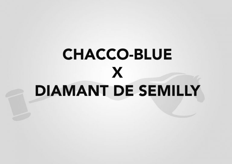 Chacco-Blue x Diamant de Semilly