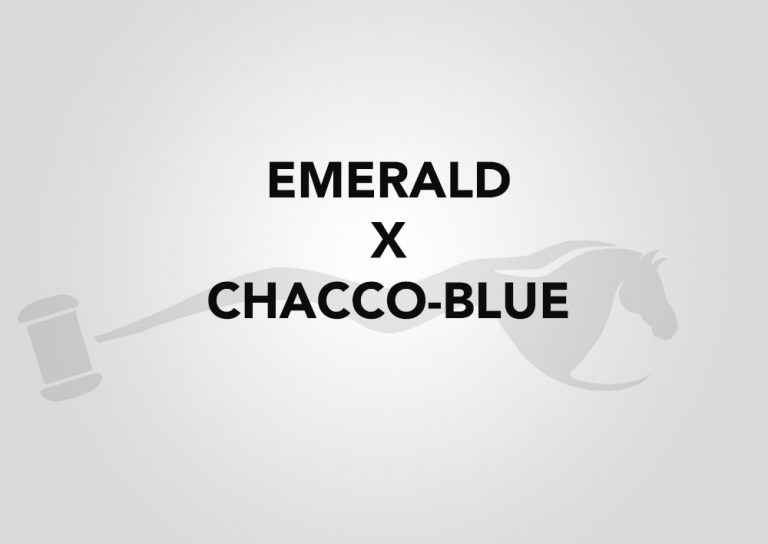 Emerald x Chacco-Blue