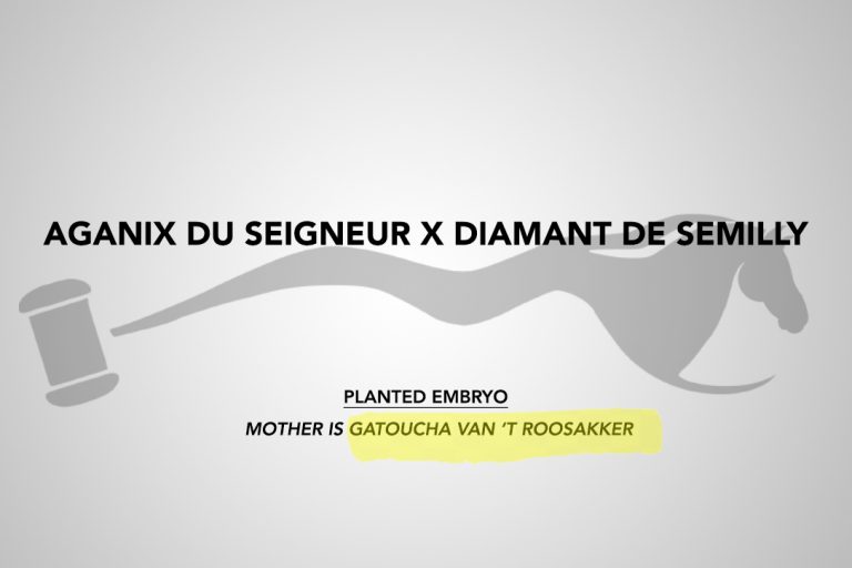 Aganix du Seigneur x Diamant de Semilly