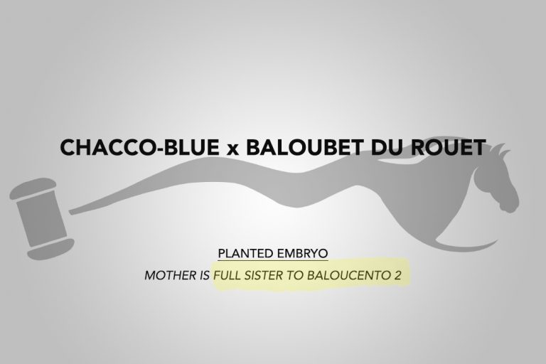 Chacco-Blue x Baloubet du Rouet