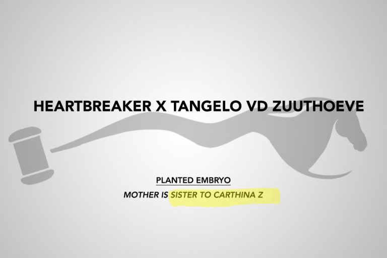 Heartbreaker x Tangelo vd Zuuthoeve