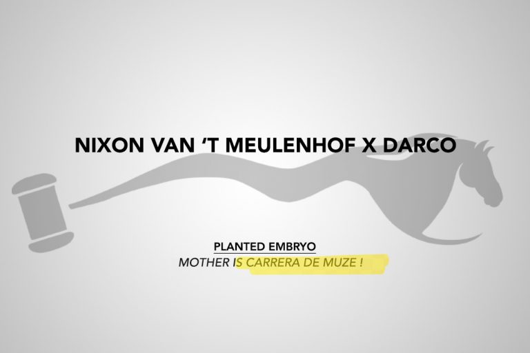 Nixon van’ t Meulenhof x Darco