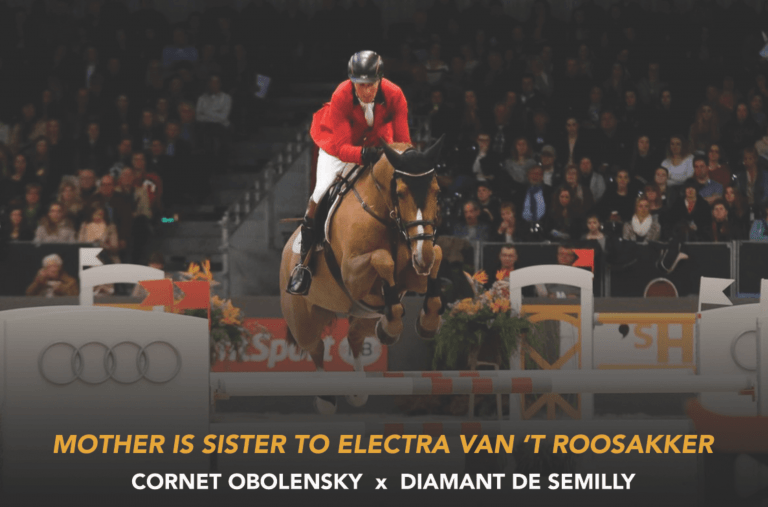 Cornet obolensky x Diamant de Semilly