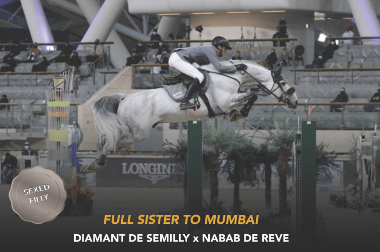 Diamant de Semilly x Nabab de Rêve