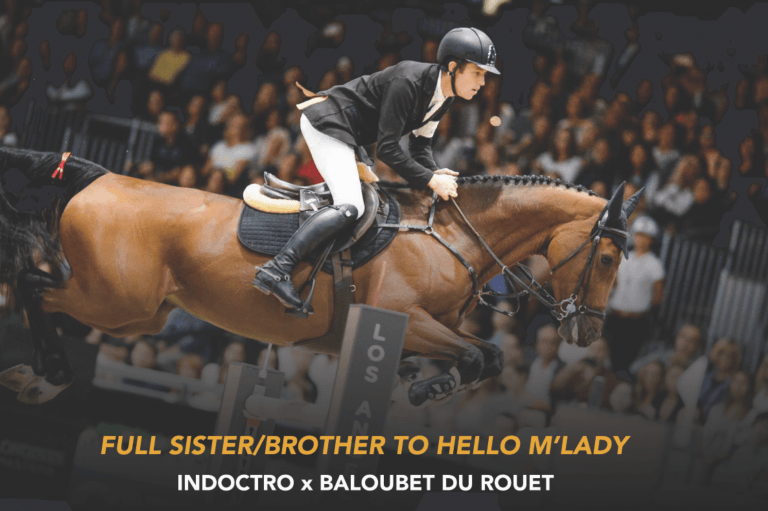 Indoctro	x Baloubet du Rouet