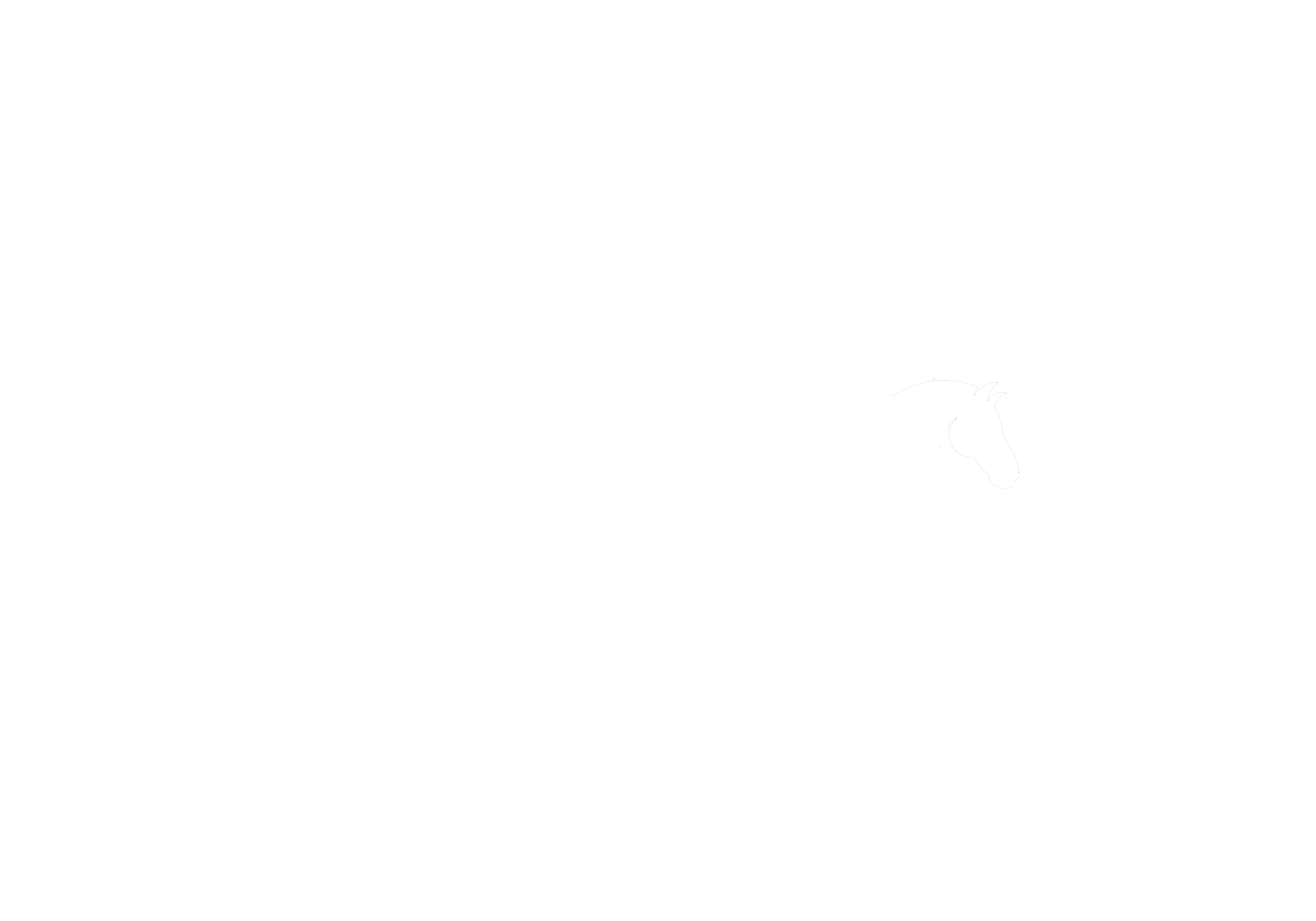 Equbreeding Auction: Exclusive foals, embryos & jumpers