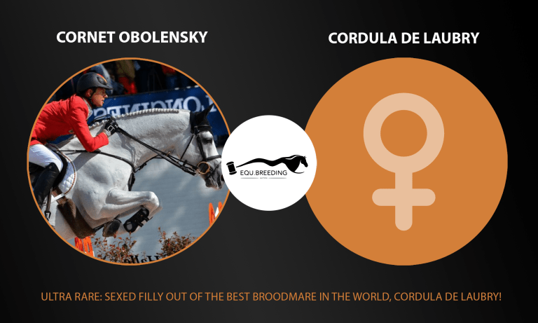 [FILLY] Cornet Obolensky x Cordula de Laubry